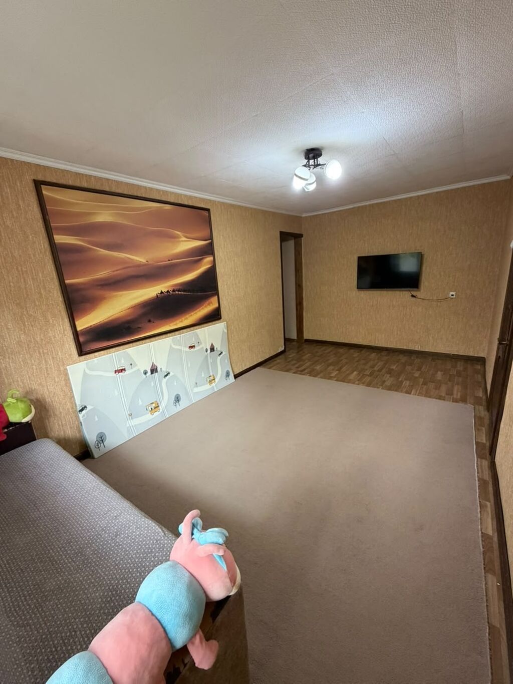 3 комнаты, 56 м², Мед Академия Хрущевка, 1 этаж, Старый ремонт: фото 6