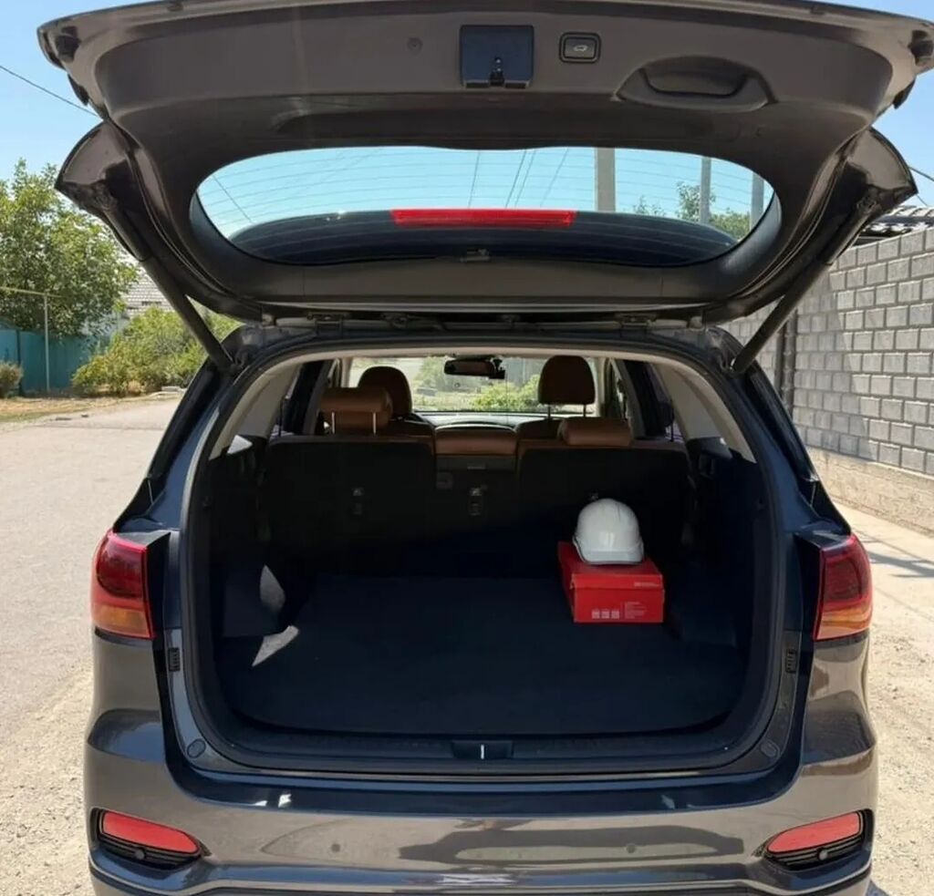 Kia Sorento: 2018 г., 2 л, Автомат, Дизель, Кроссовер: фото 6