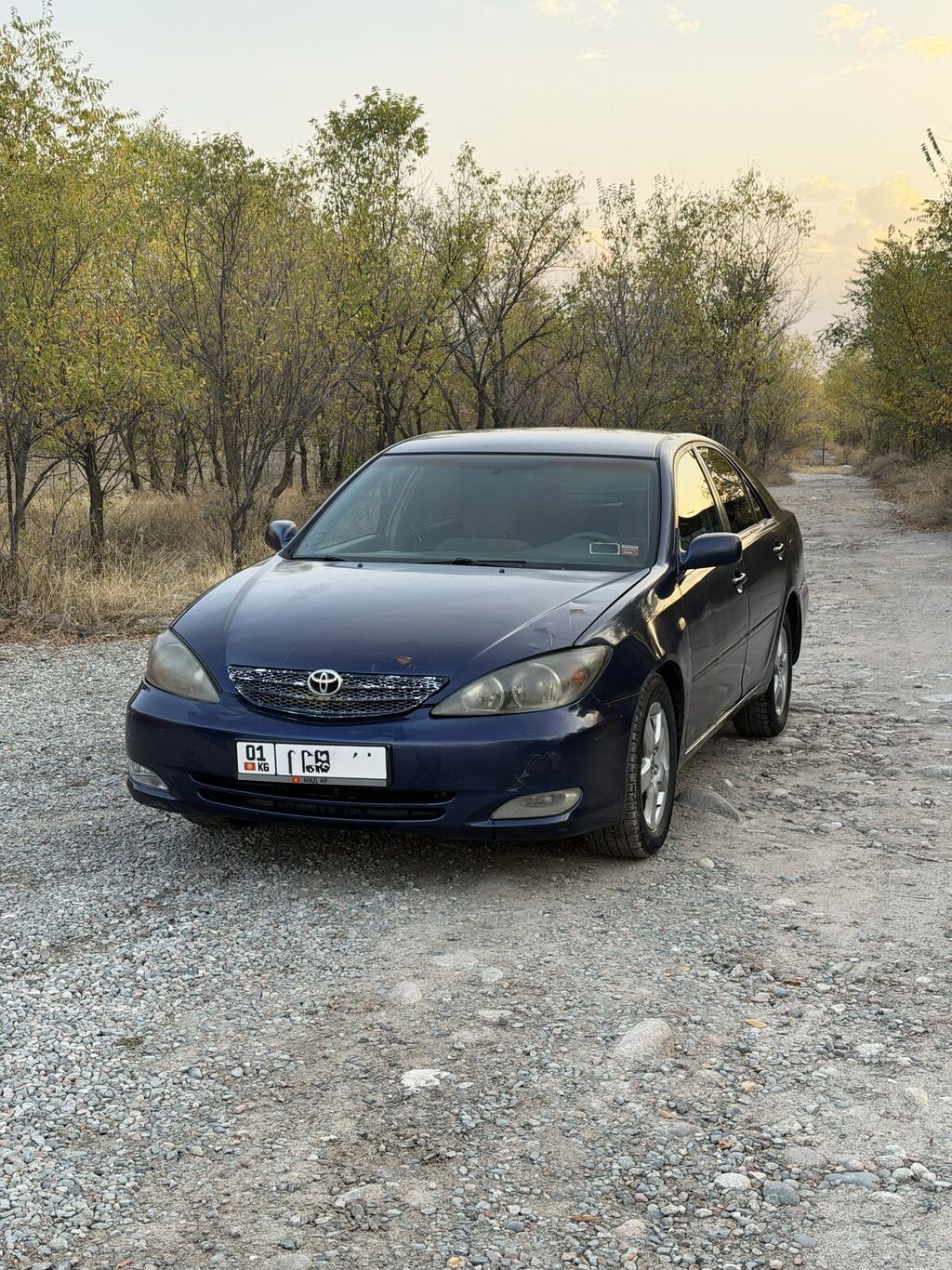 Toyota Camry: 2002 г., 2.4 л, Автомат, Бензин, Седан: фото 1
