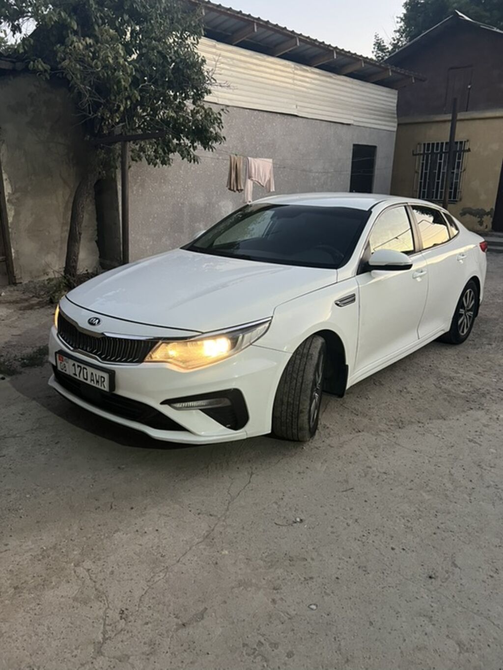 Kia K5: 2021 г., Седан: фото 1