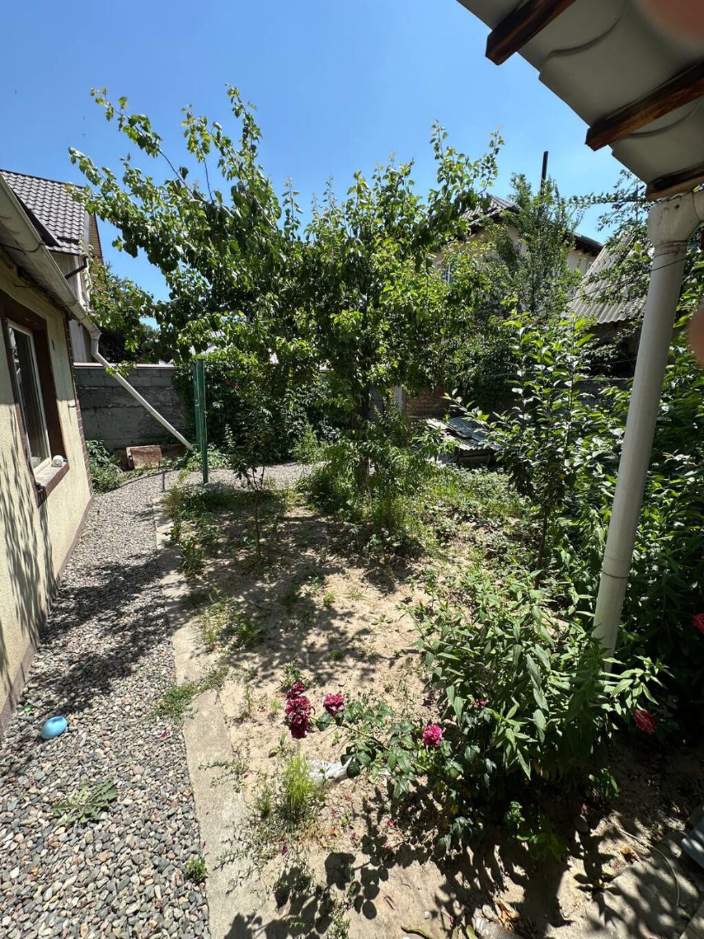 4 соток, Красная книга, Тех паспорт, Договор купли-продажи: фото 4