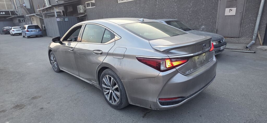Lexus ES: 2019 г., Гибрид, Седан: фото 8