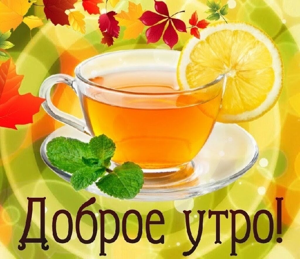 Утро 5 ноября