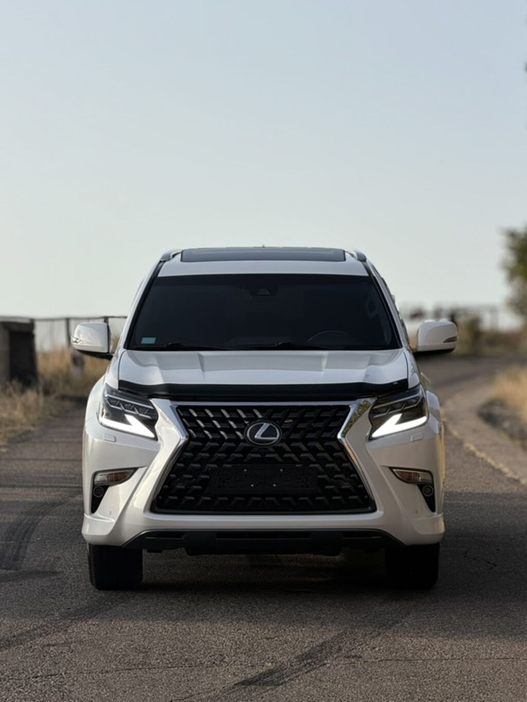 Lexus GX: 2020 г., 4.6 л, Автомат, Бензин, Внедорожник: фото 5