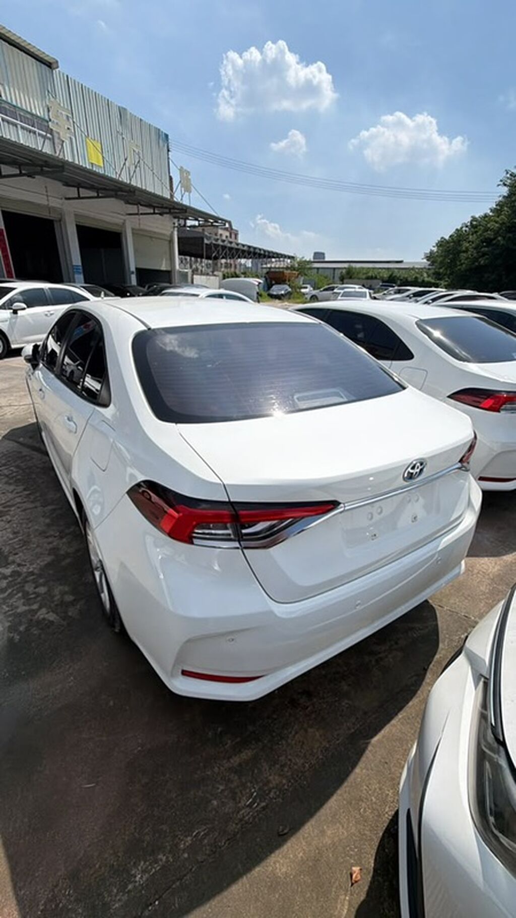Toyota Corolla: 2021 г., 1.8 л, Автомат, Гибрид, Седан: фото 4