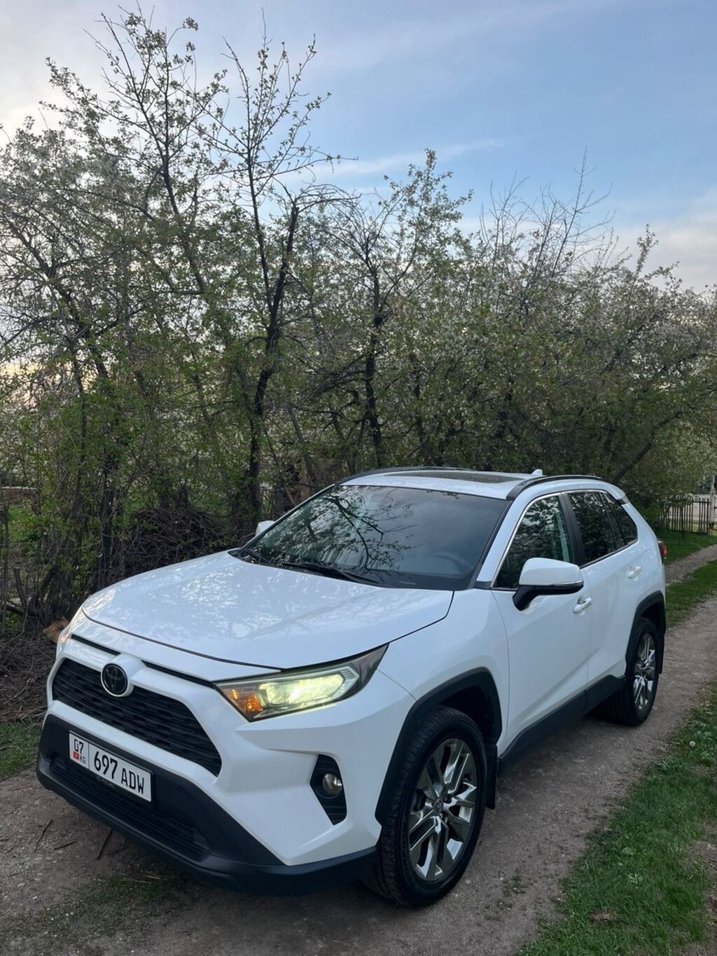 Toyota RAV4: 2020 г., 2.5 л, Автомат, Бензин, Кроссовер: фото 3