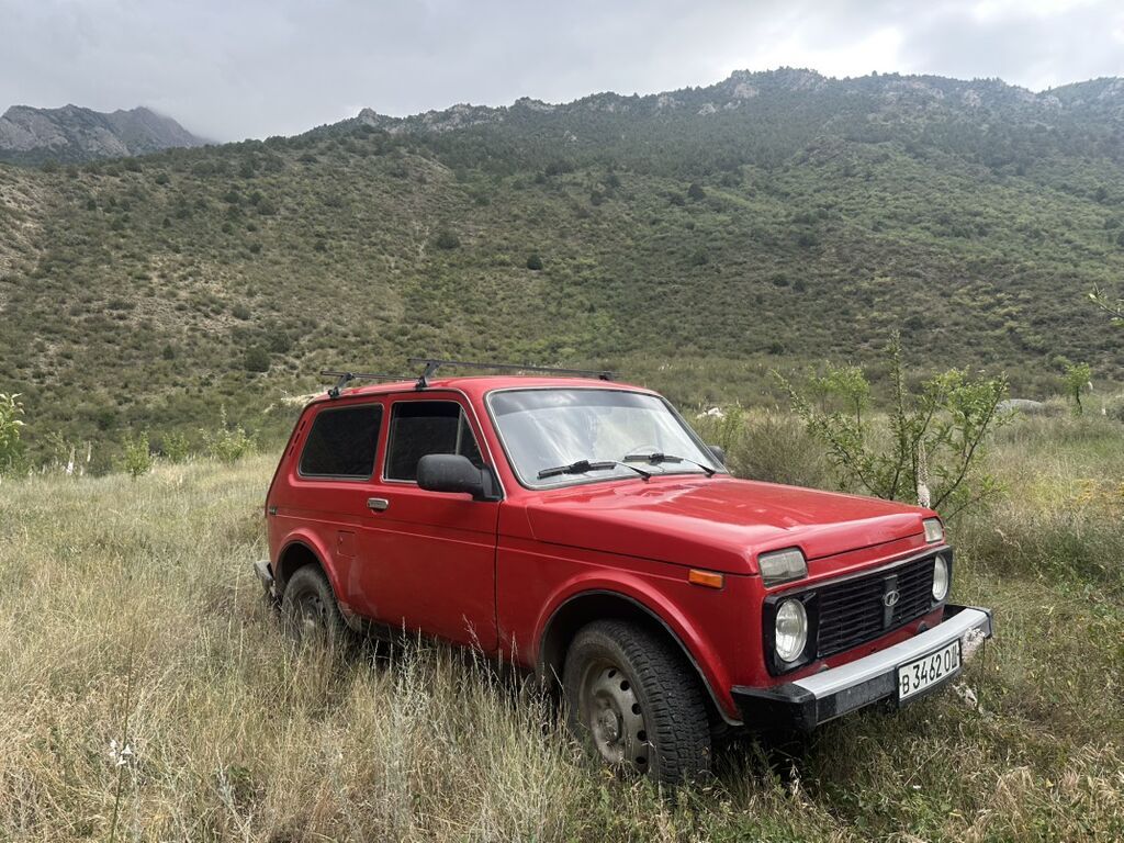 ВАЗ (ЛАДА) 2121 (4x4): 1986 г., 1.7 л, Механика, Бензин, Внедорожник — фото 2