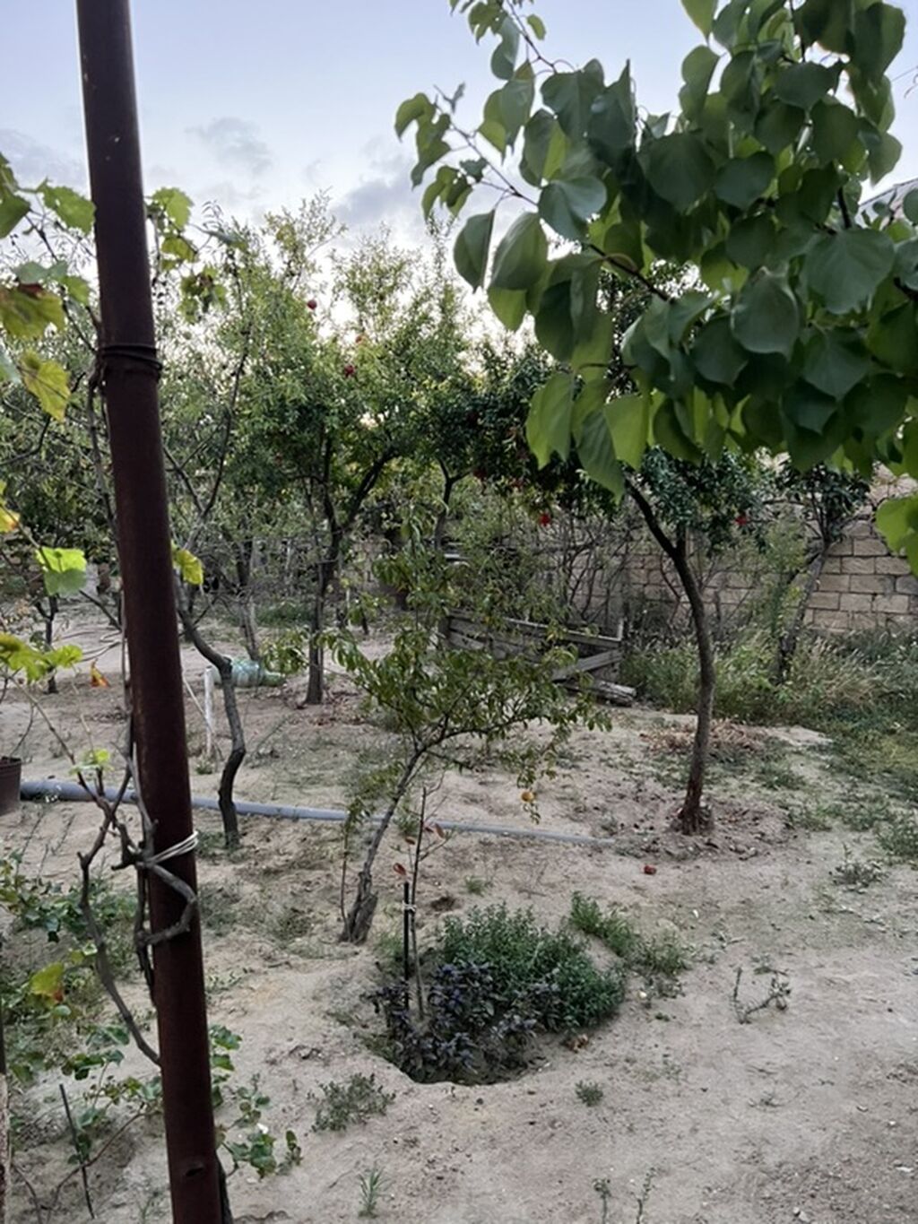 Sarayda torpağ 2.5 sotdu. Bu həyəti alan özü üçün evdə tikə bilər