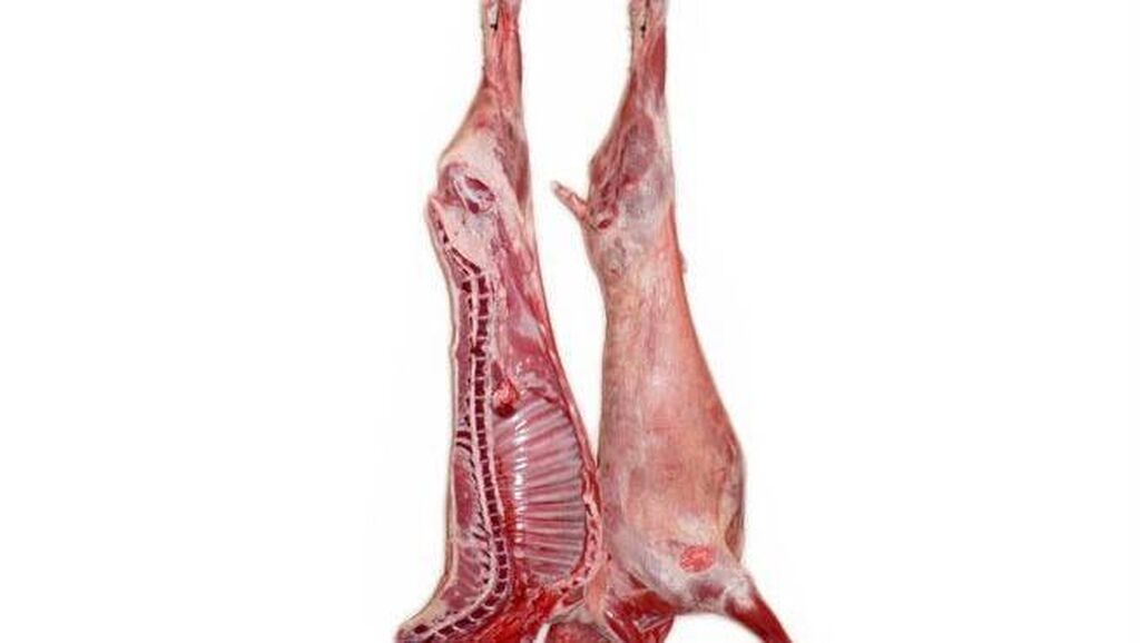 Quzu: Quzu əti. 9-13 kg. Monqolustan/ Halal. 14 manat-1 kg. Votsapa yazın