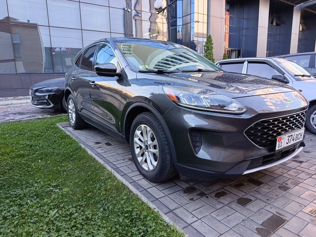 Ford Escape: 2020 г., Кроссовер: фото 2