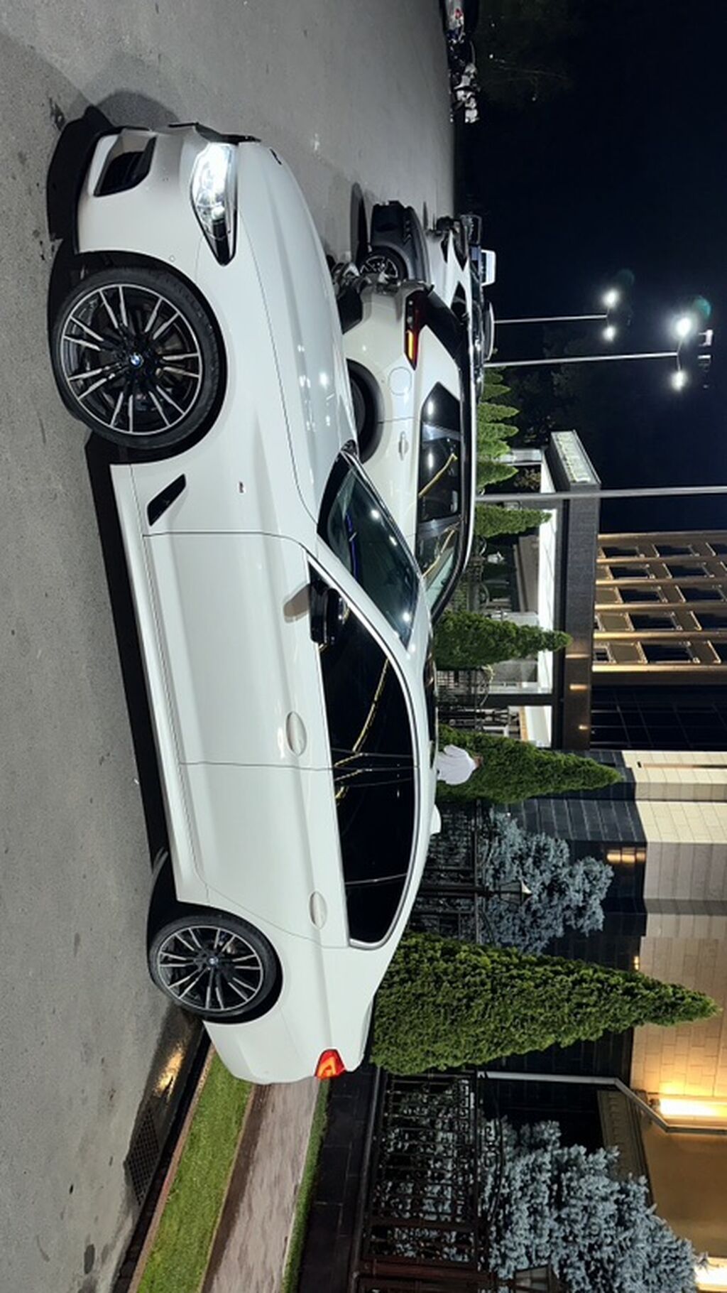 BMW 5 series: 2019 г., 2 л, Автомат, Бензин, Седан: фото 4