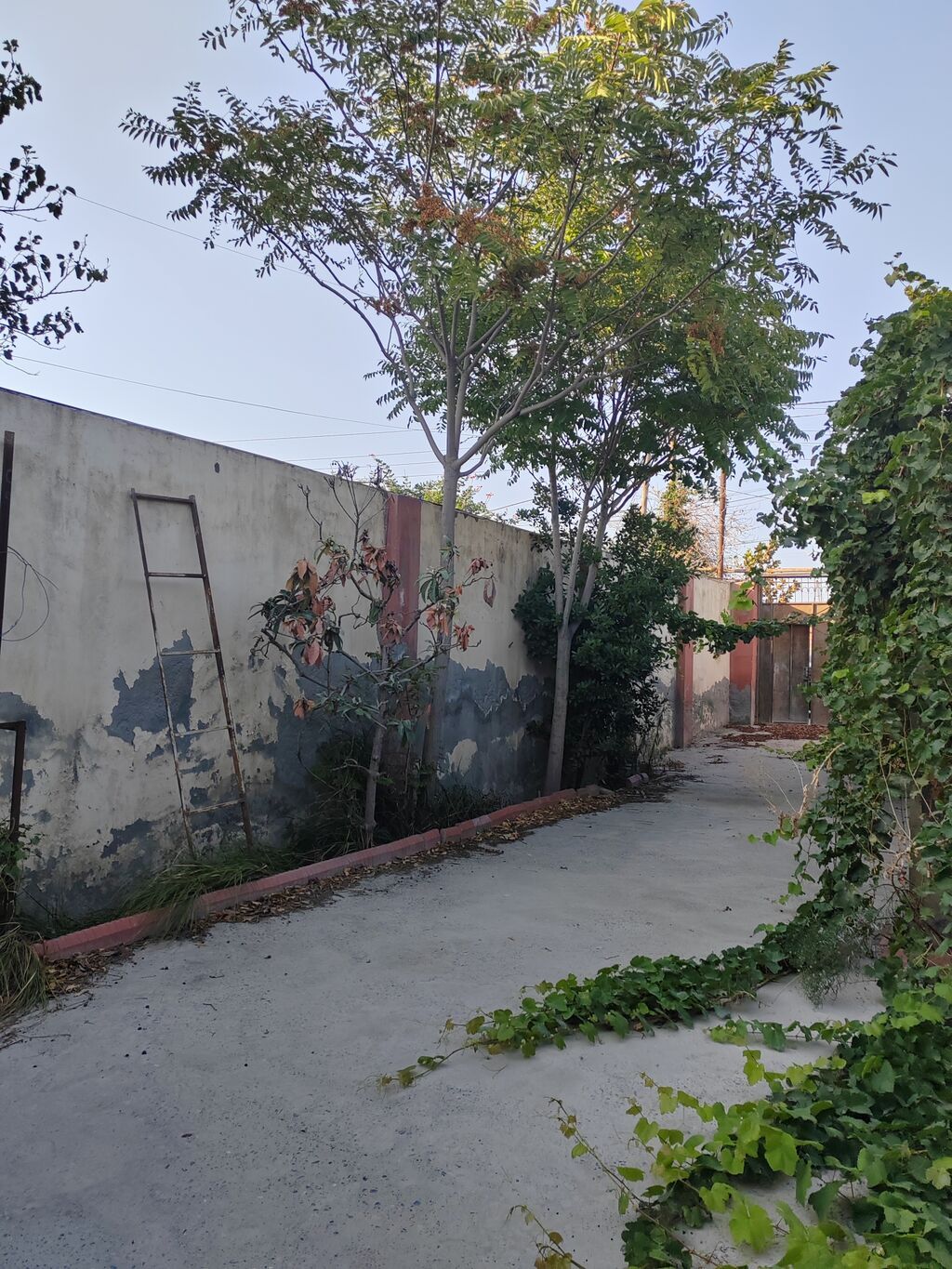 Binəqədi qəs. 3 otaqlı, 84 kv. m, Kredit yoxdur, Orta təmir