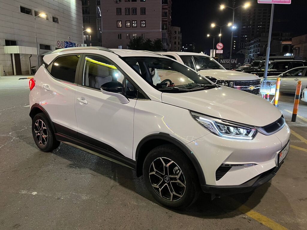 BYD Yuan Pro: 2021 г., 0.1 л, Автомат, Электромобиль, Кроссовер: фото 1