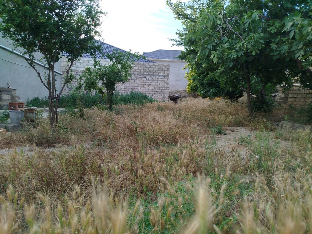 4 sot, Tikinti, Mülkiyyətçi, Kupça (Çıxarış)