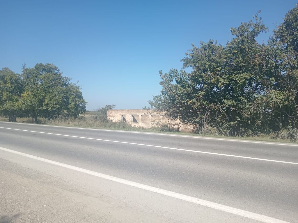 Biznes üçün