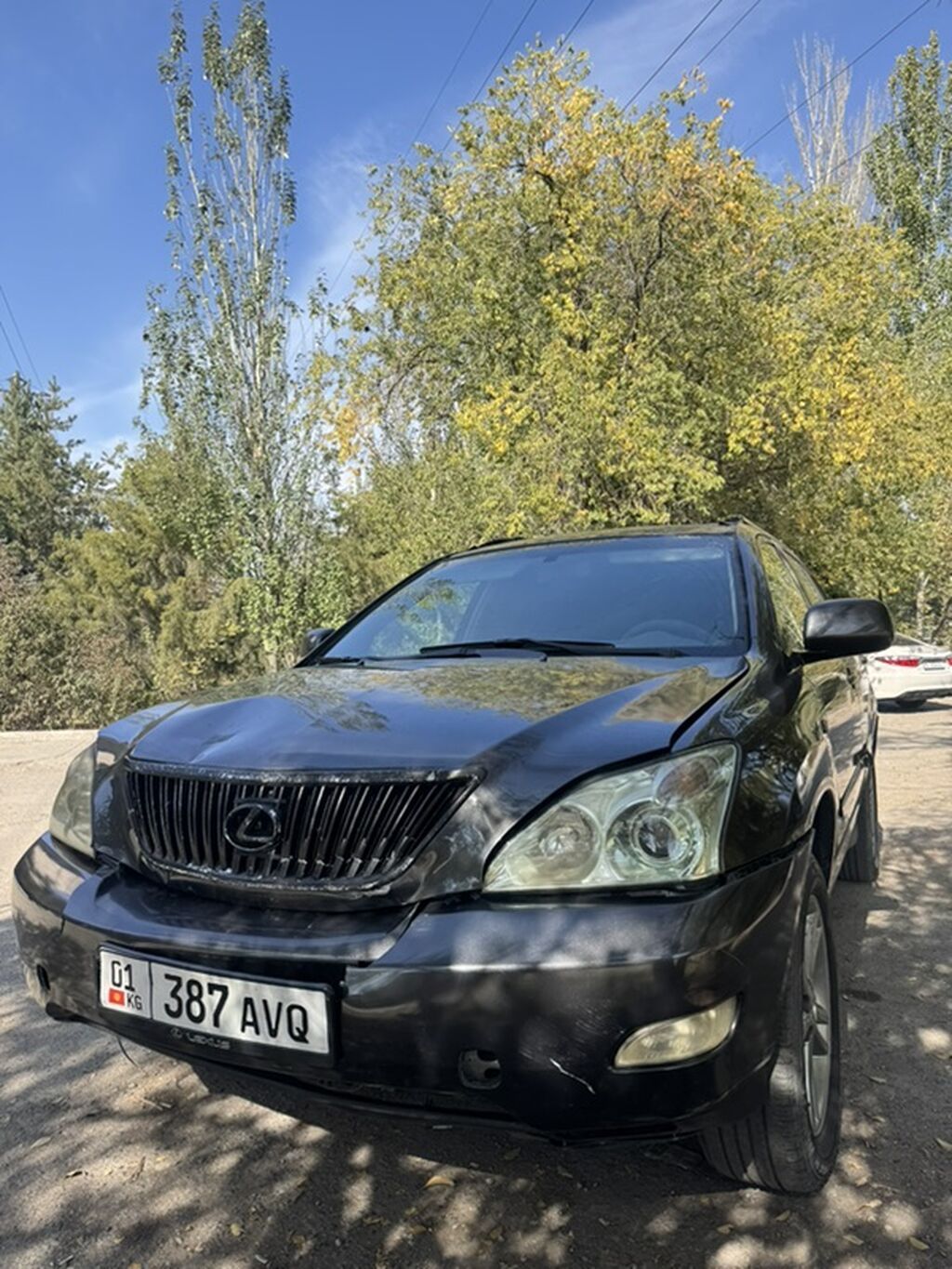Lexus RX: 2004 г., Кроссовер: фото 1