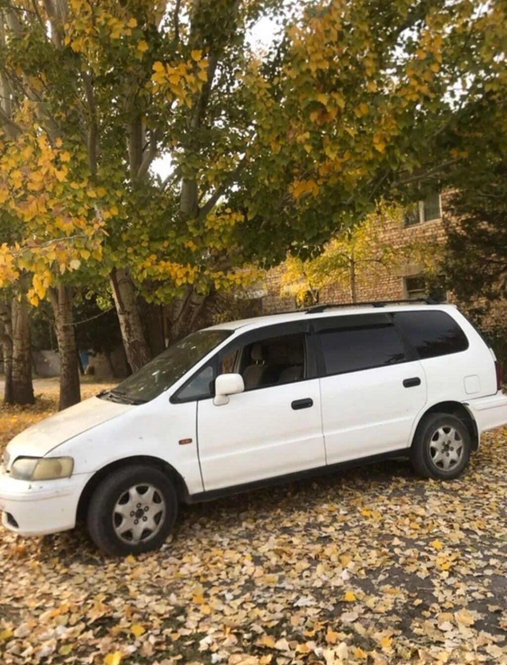 Honda Odyssey: 1995 г., 2.2 л, Автомат, Бензин, Минивэн: фото 3