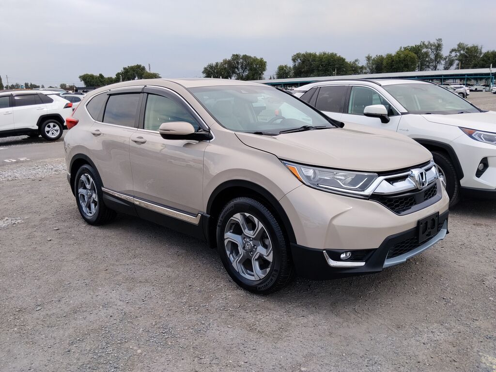 Honda CR-V: 2019 г., 1.5 л, Автомат, Бензин, Кроссовер: фото 3
