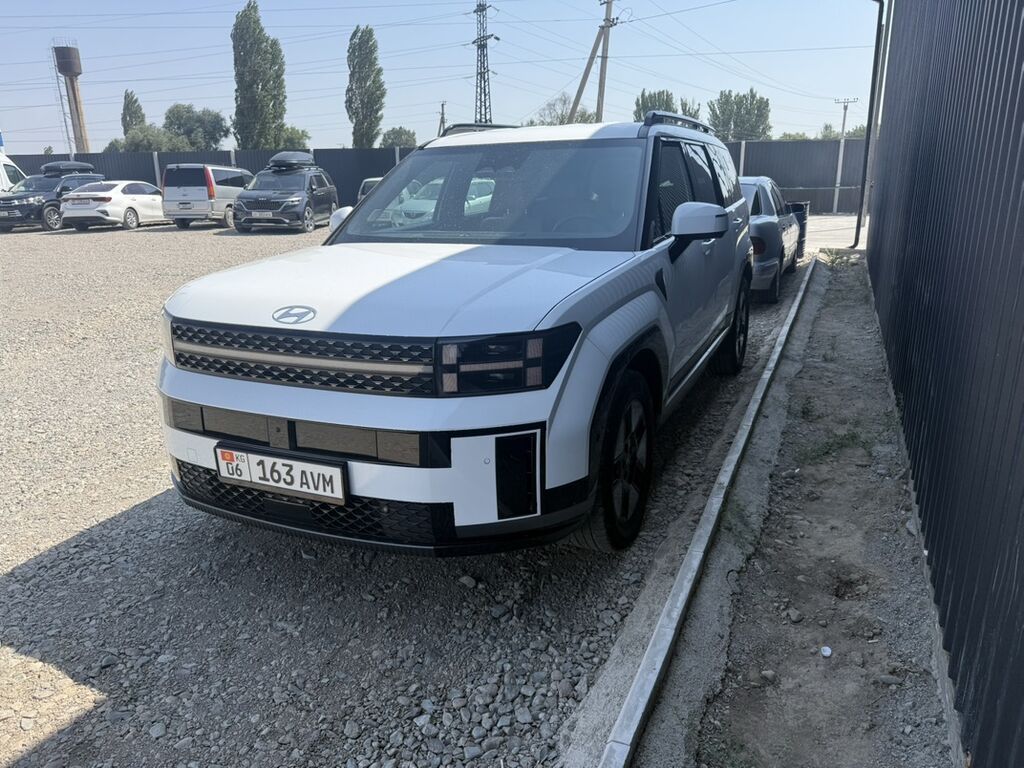 Hyundai Santa Fe: 2025 г., Кроссовер: фото 2