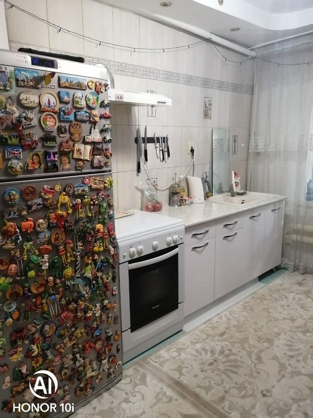 Продаётся дом. БИШКЕК ул. Элебесова 232 . Магазин, теплицы, сауна: фото 5
