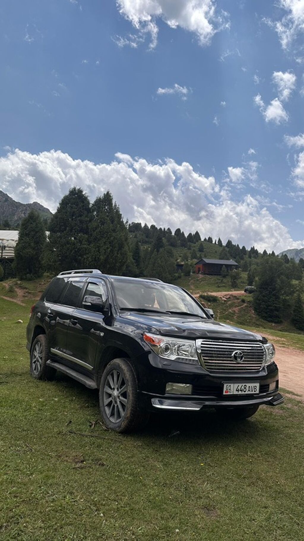 Toyota Land Cruiser: 2008 г., Внедорожник: фото 8