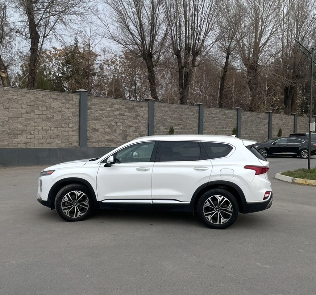 Hyundai Santa Fe: 2019 г., 2 л, Автомат, Бензин, Кроссовер: фото 7