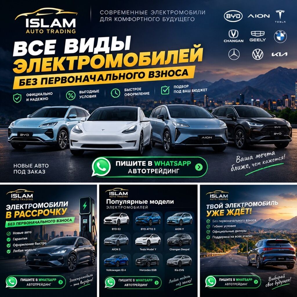 BYD D1
