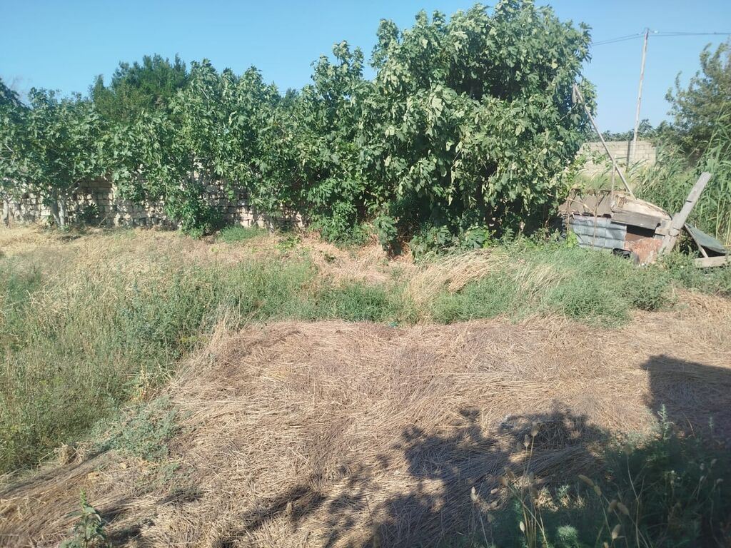 7 sot, Tikinti, Mülkiyyətçi, Bələdiyyə, Müqavilə