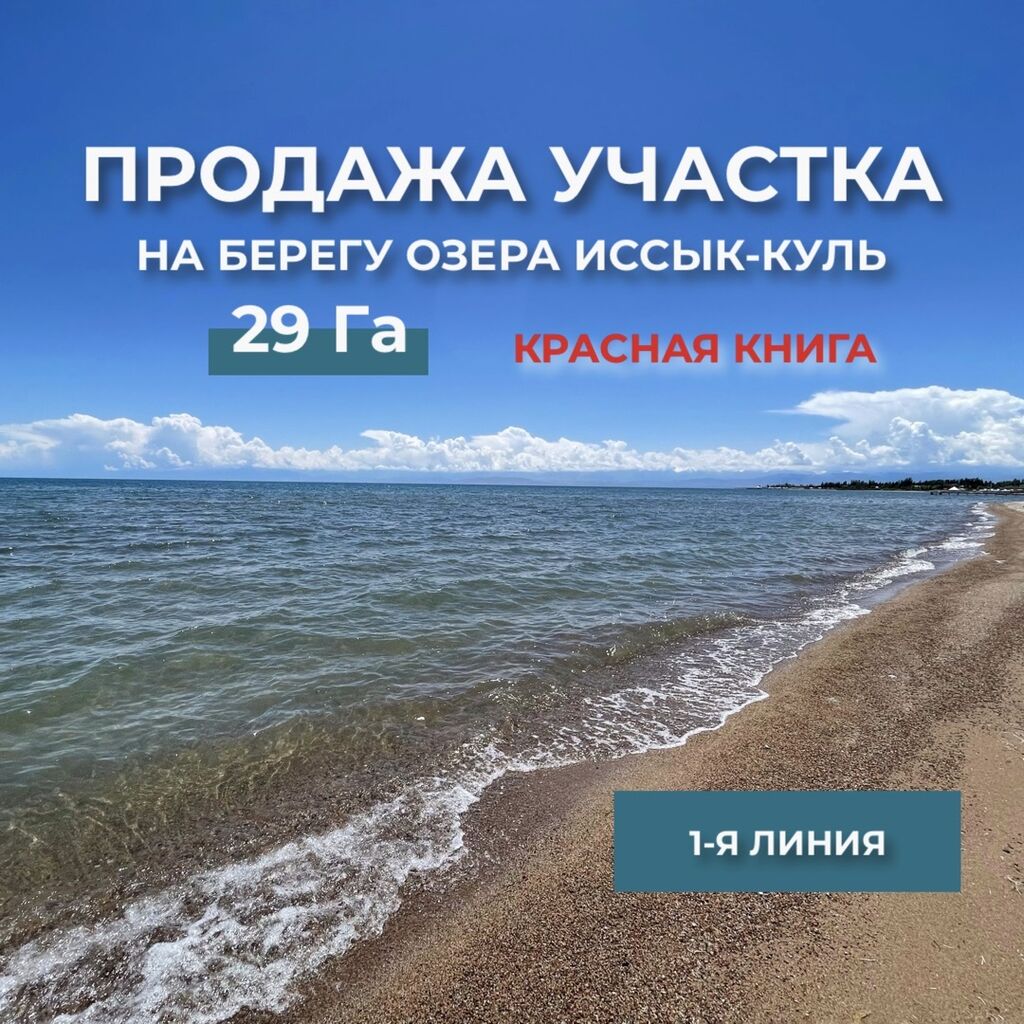 1-я ЛИНИЯ северного берега о. Иссык-куль,: Договорная ▷ Продажа участков |  Бишкек | 101186241 ᐈ lalafo.kg