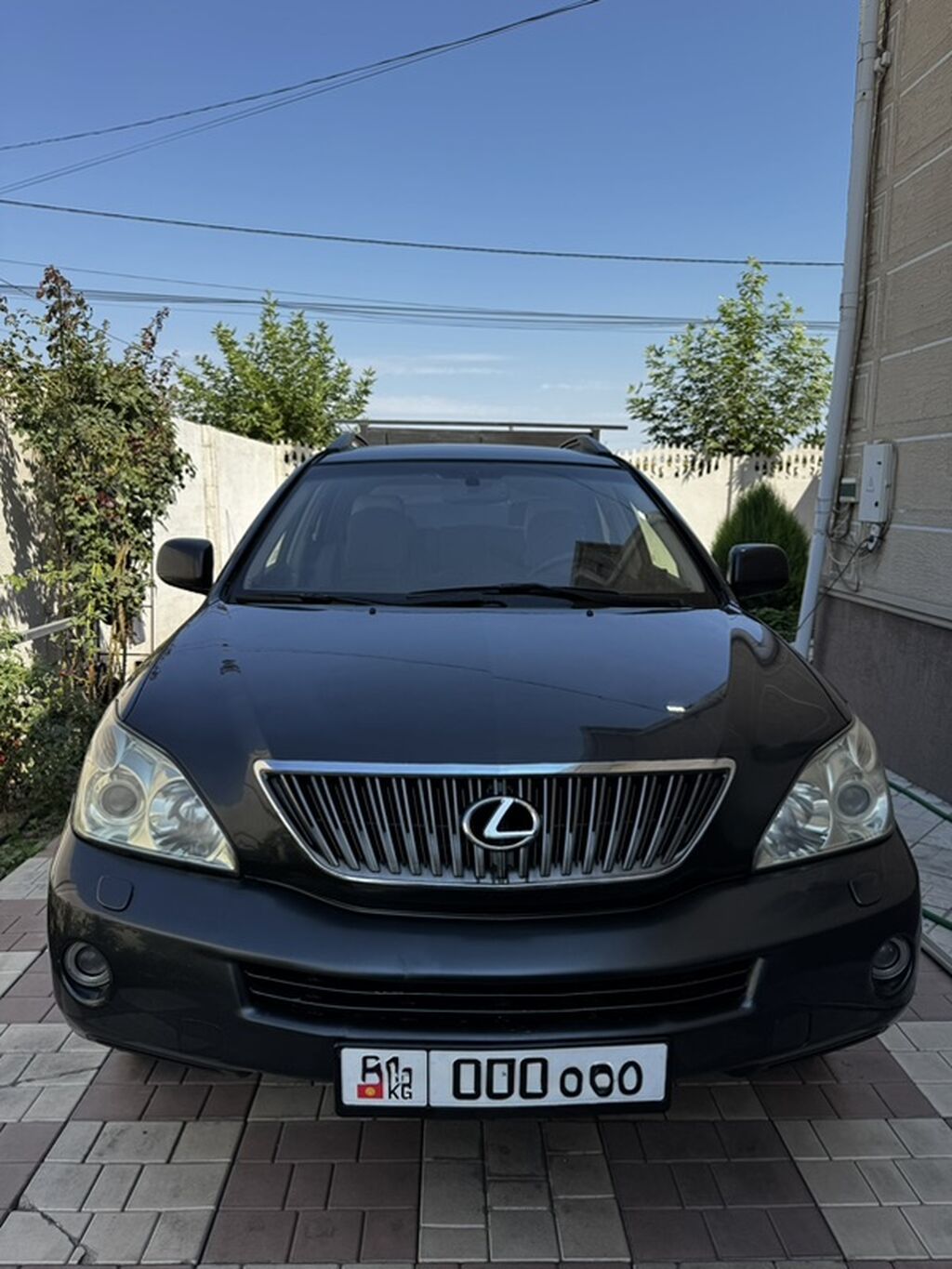 Lexus RX: 2006 г., 3.3 л, Автомат, Бензин, Кроссовер: фото 2