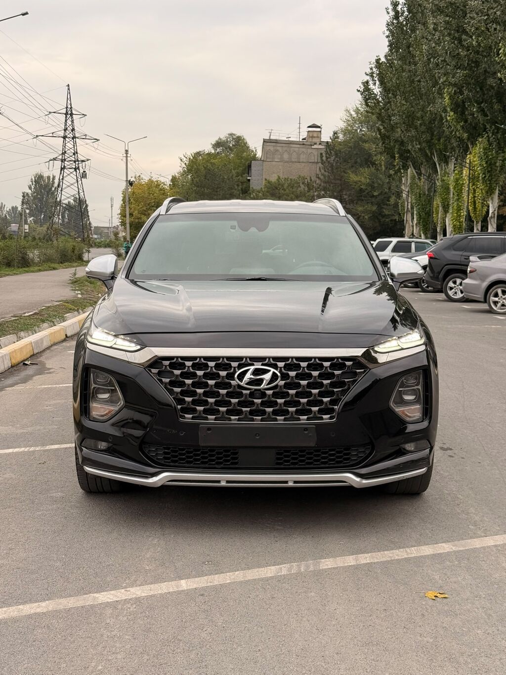 Hyundai Santa Fe: 2019 г., 2 л, Автомат, Бензин, Кроссовер: фото 3