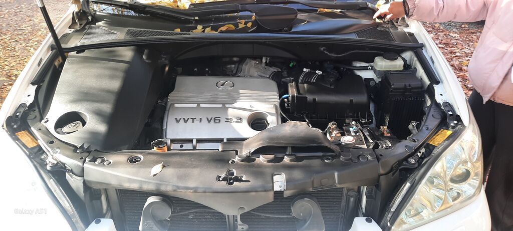 Lexus RX: 2004 г., 3.3 л, Автомат, Бензин, Кроссовер: фото 7