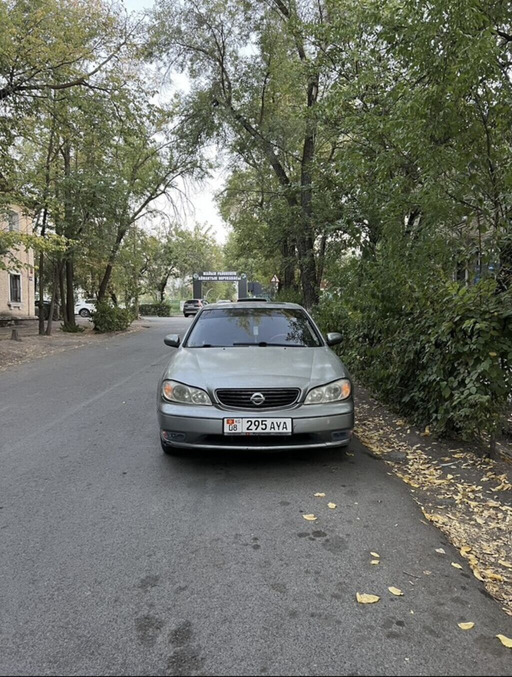 Nissan Maxima: 2003 г., 3 л, Автомат, Газ, Седан: фото 2
