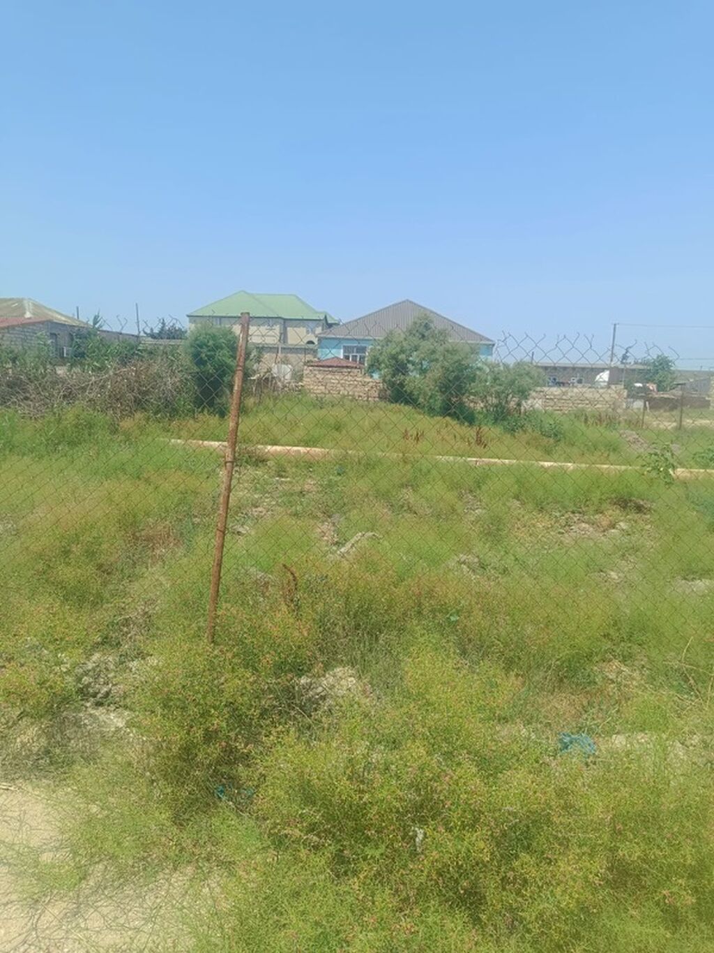 Tikinti