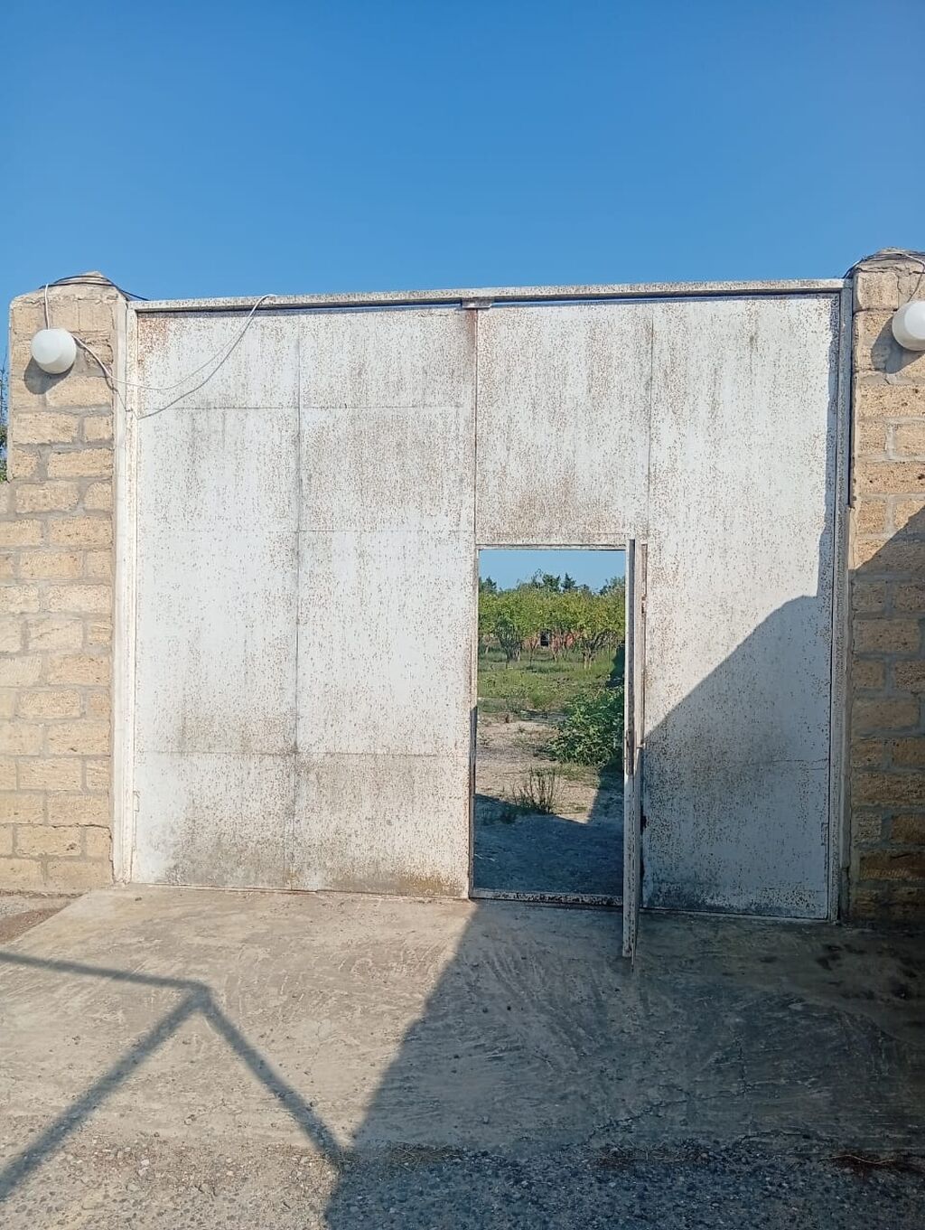 21 sot, Tikinti, Kupça (Çıxarış)