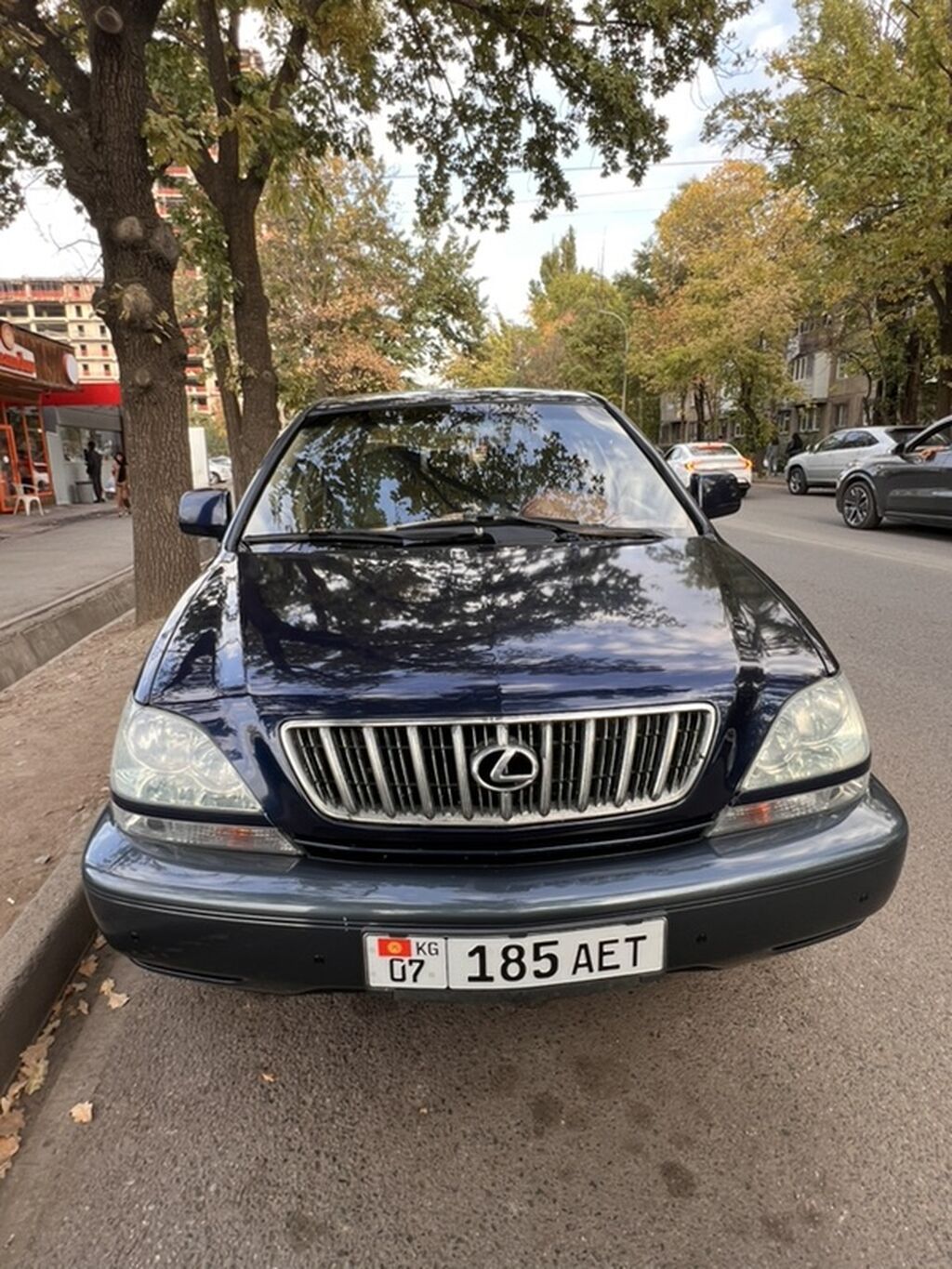 Lexus RX: 2000 г., 3 л, Автомат, Бензин, Кроссовер: фото 6