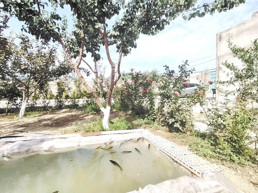 2 otaqlı, 82 kv. m, Yeni təmirli