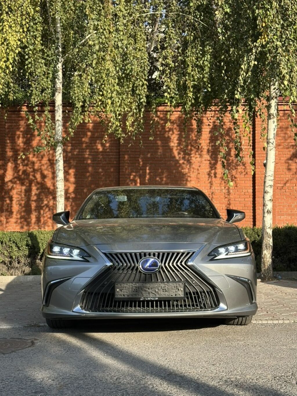 Lexus ES: 2019 г., 2.5 л, Вариатор, Гибрид, Седан: фото 1