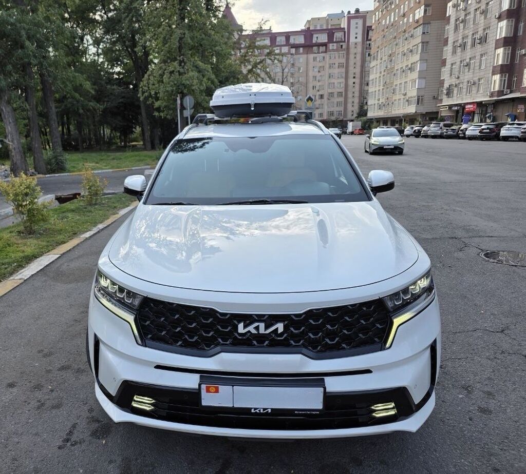 Kia Sorento: 2022 г., 1.6 л, Автомат, Гибрид, Кроссовер: фото 1
