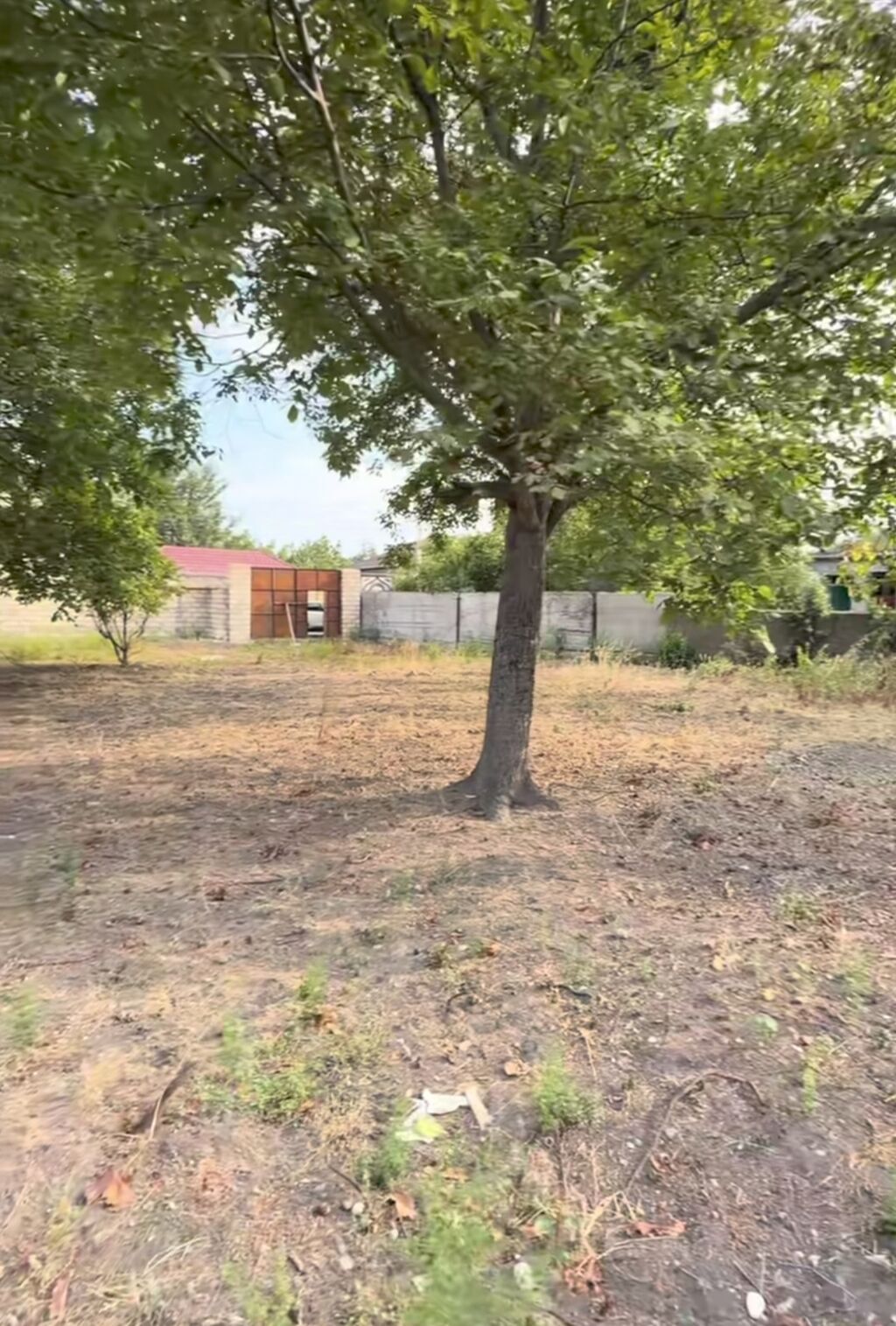 10 sot, Tikinti, Barter mümkündür, Kupça (Çıxarış)
