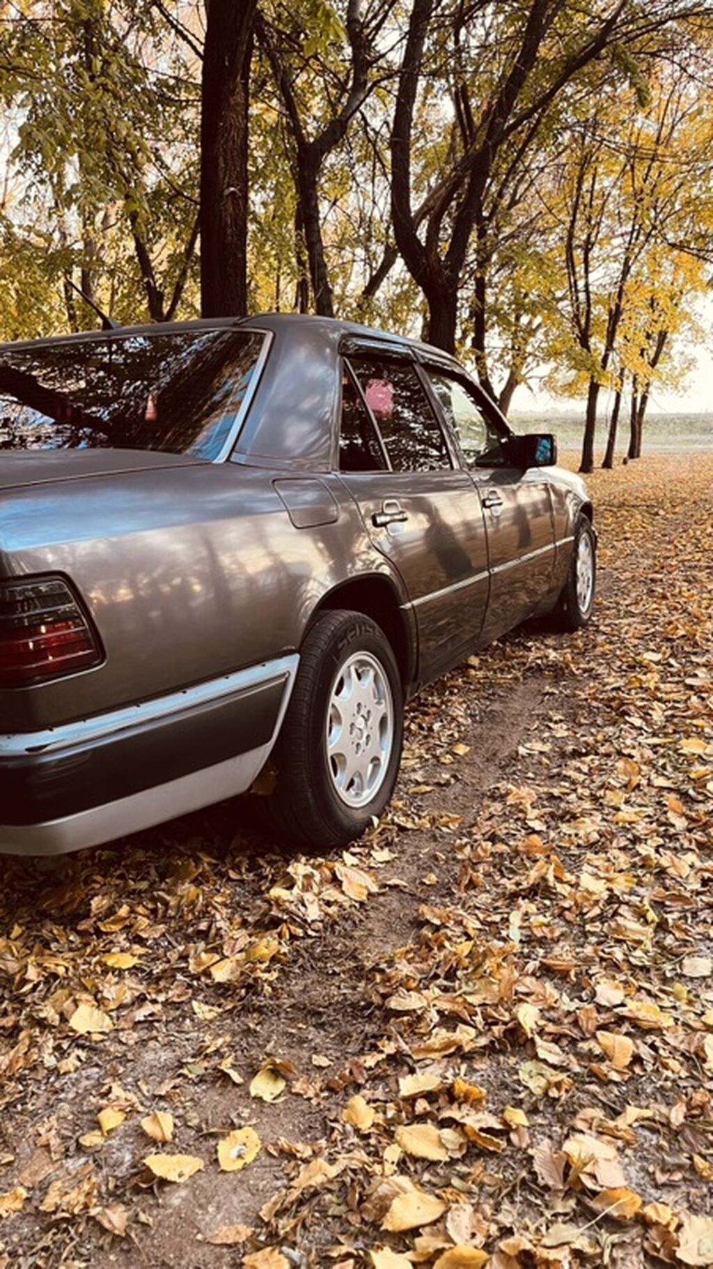 Mercedes-Benz W124: 1994 г., 2 л, Механика, Бензин, Седан: фото 4