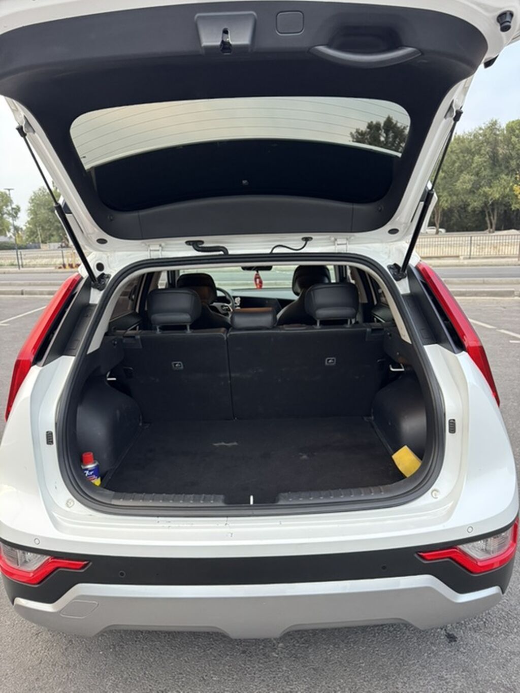 Kia Niro: 2022 г., 1.6 л, Автомат, Гибрид, Кроссовер: фото 5