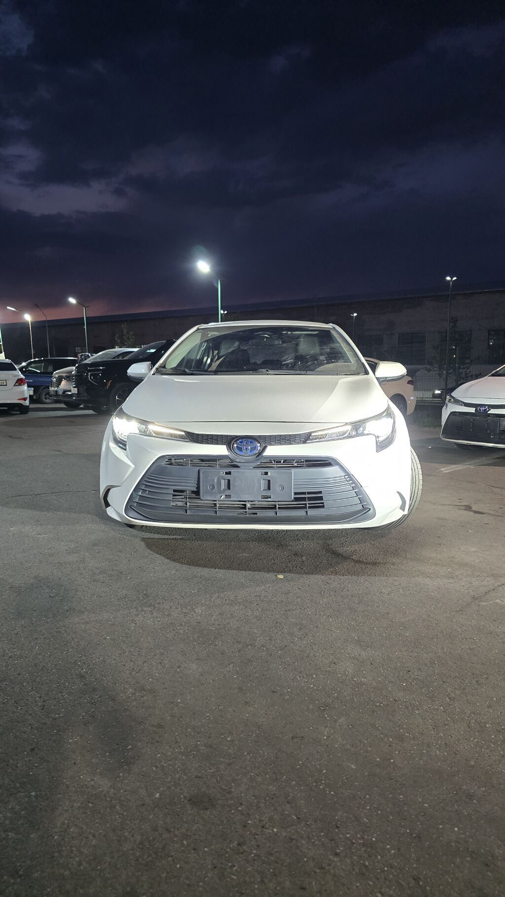 Toyota Levin