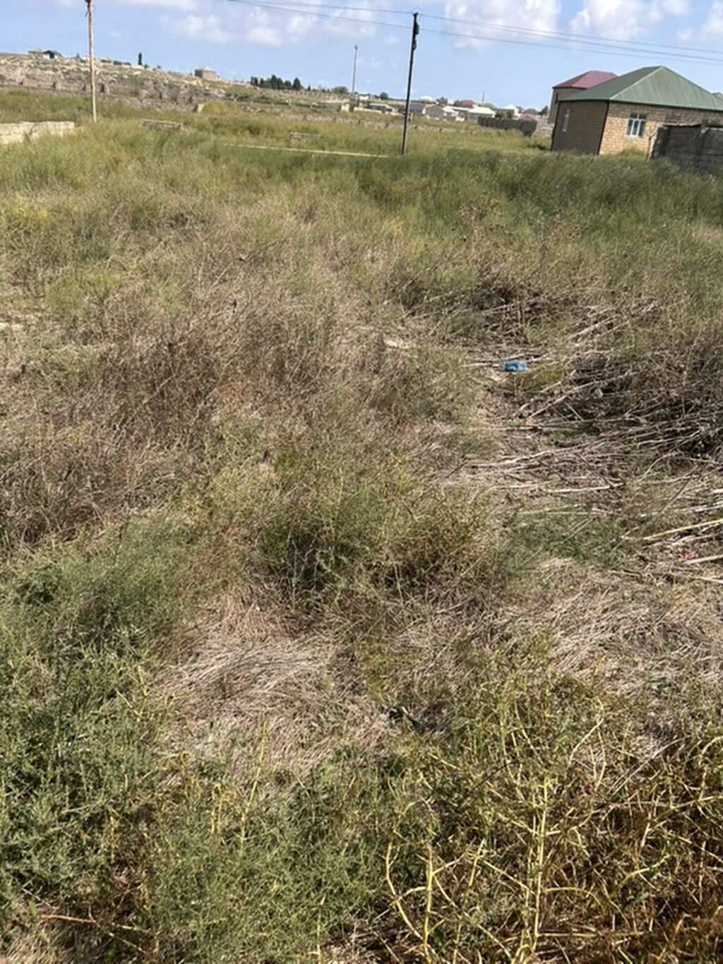 6 sot, Tikinti, Bələdiyyə