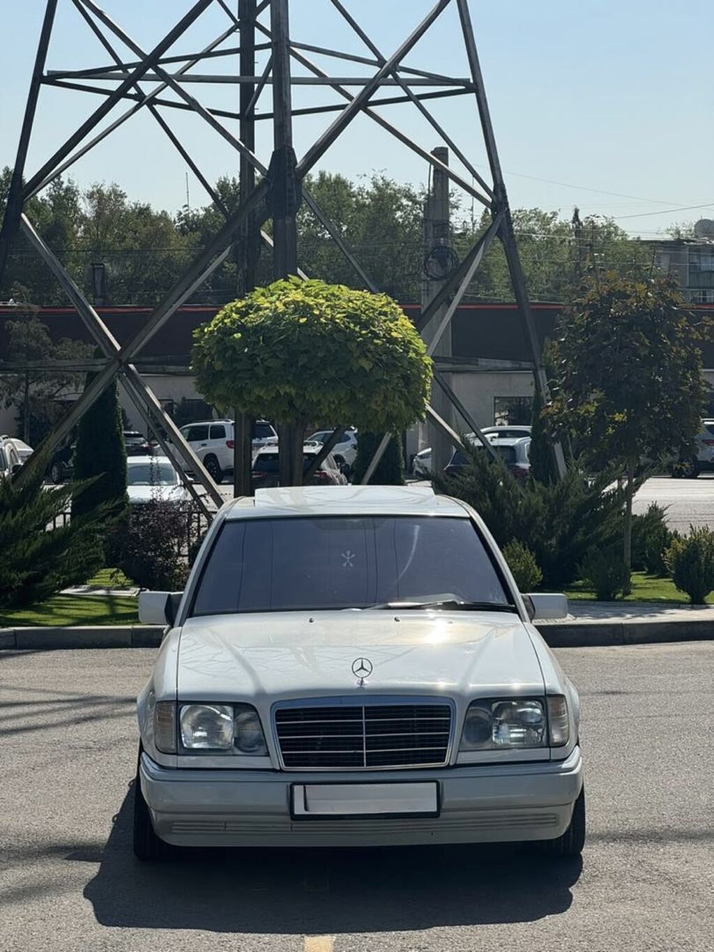 Mercedes-Benz E-Class: 1992 г., 2.2 л, Автомат, Бензин, Седан: фото 5