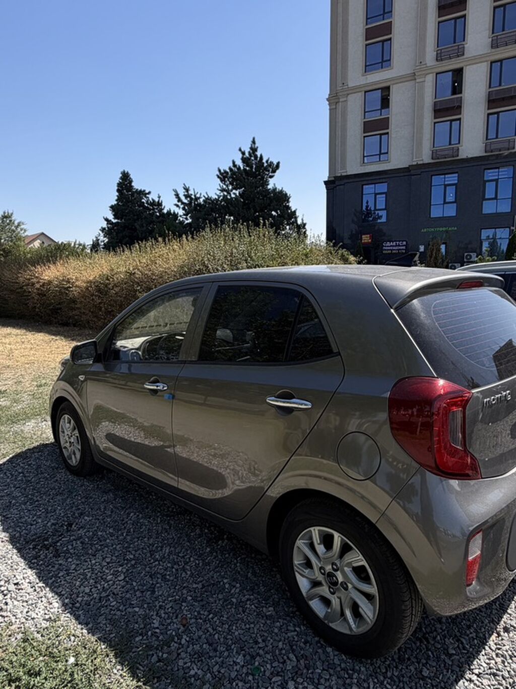 Kia Morning: 2019 г., 1 л, Автомат, Бензин, Хэтчбэк: фото 3