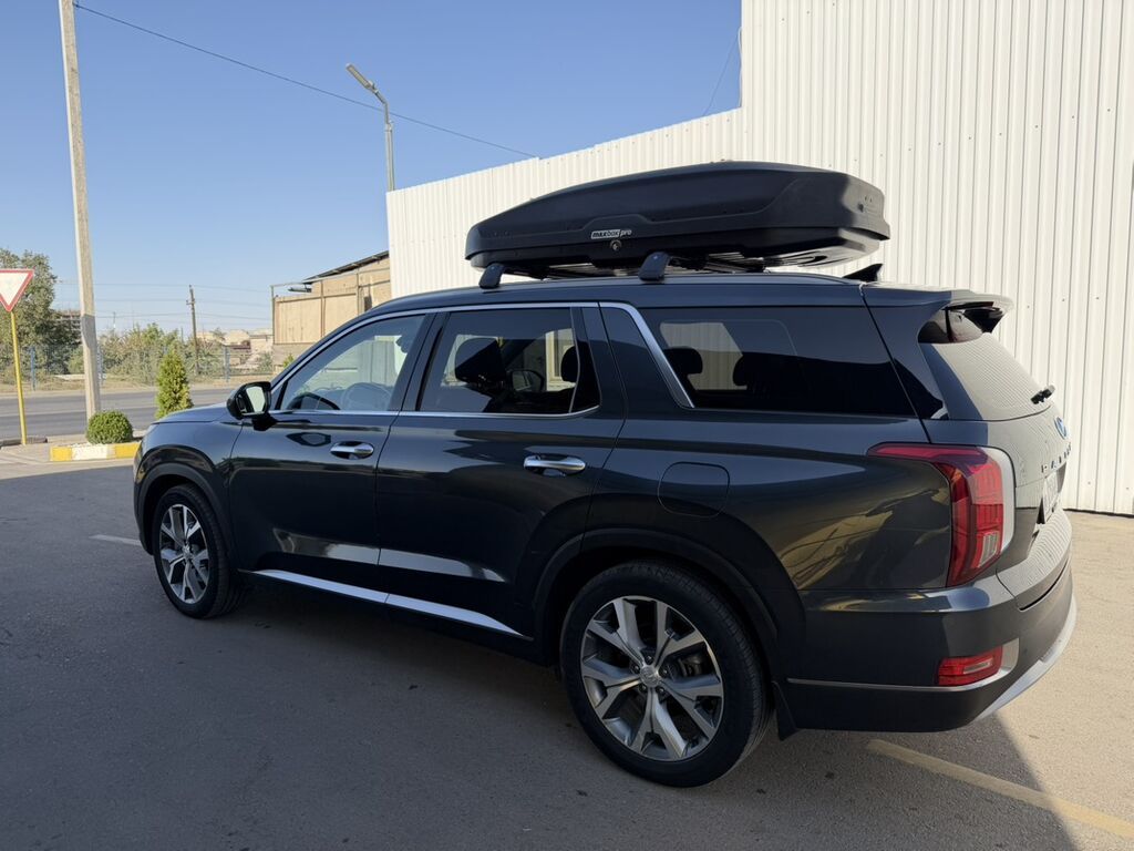 Hyundai Palisade: 2019 г., 2.2 л, Автомат, Дизель, Кроссовер: фото 6