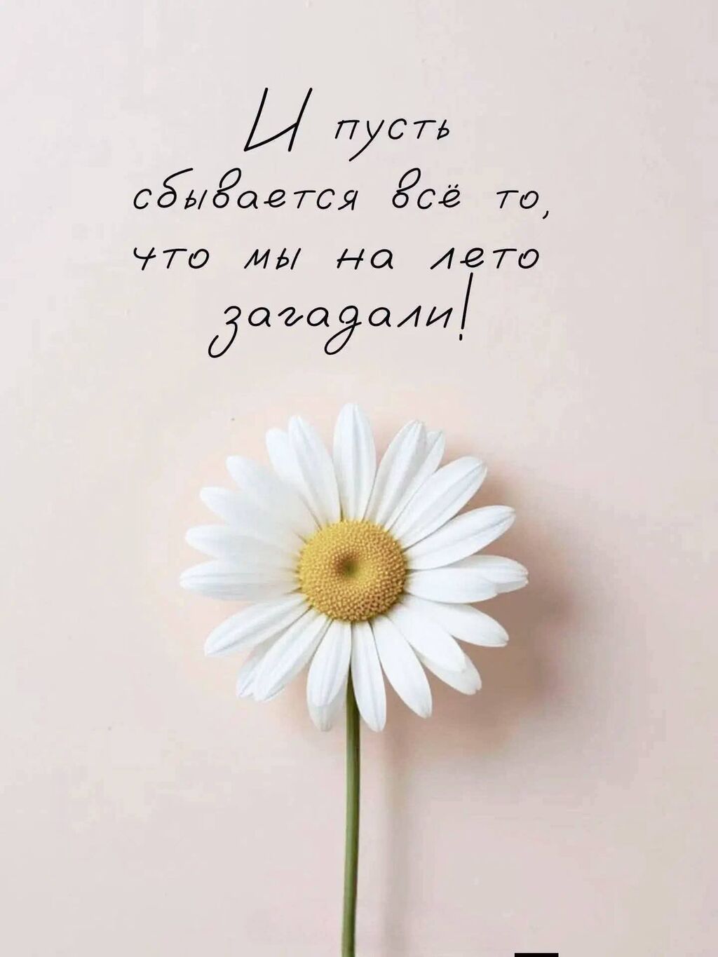Сдам комнату гостиничного типа у БГУ: фото 1