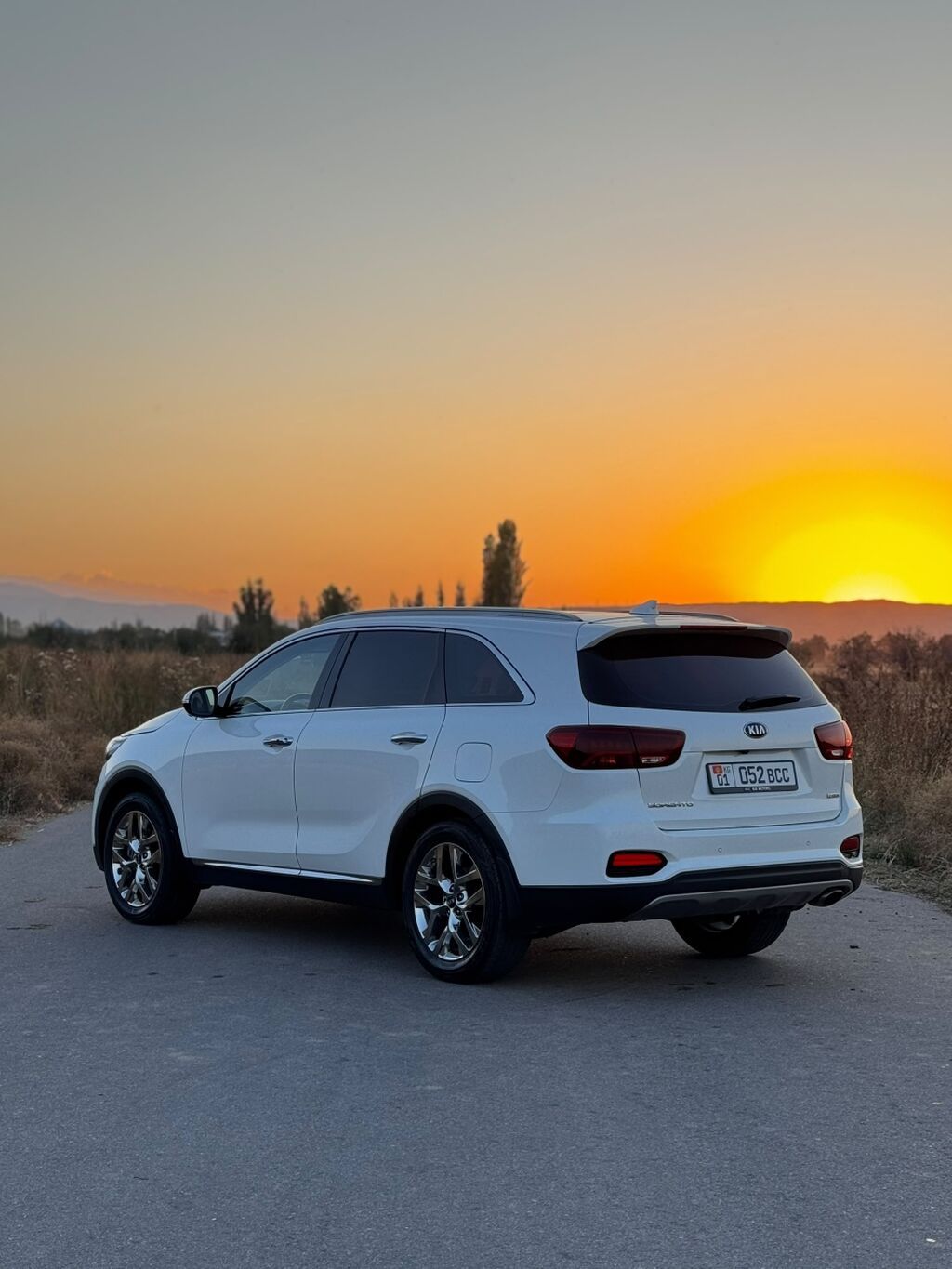 Kia Sorento: 2019 г., 2 л, Автомат, Бензин, Кроссовер: фото 6