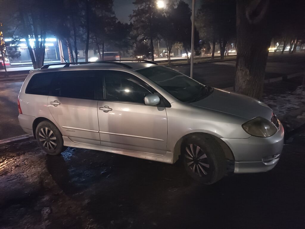 Toyota Corolla: 2003 г., 1.8 л, Автомат, Бензин, Универсал: фото 8